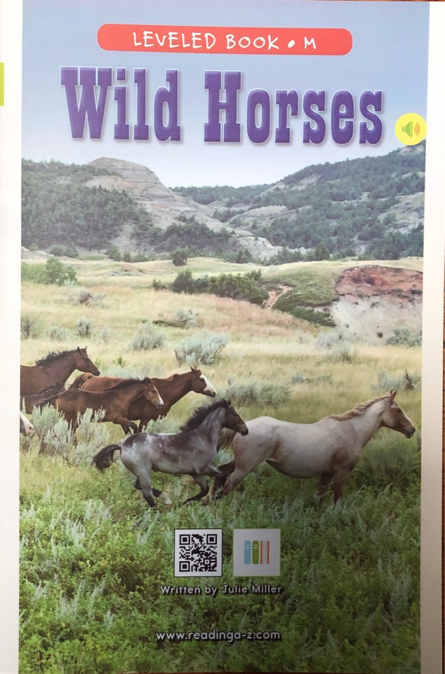 Wild Horses