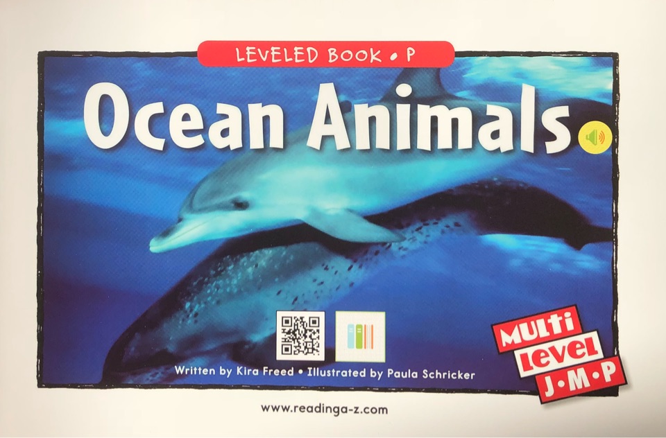 Ocean Animals