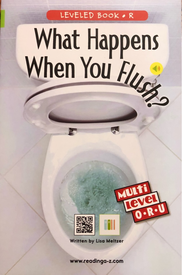 What happens when you flush