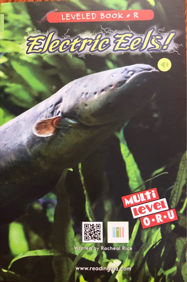 Electric Eels