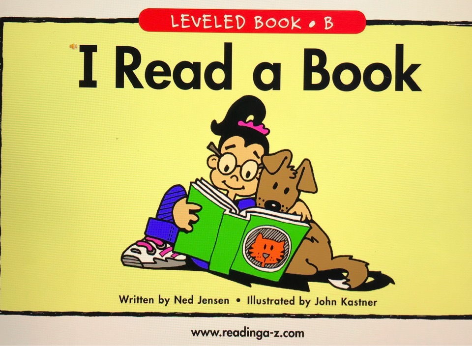 iread a book