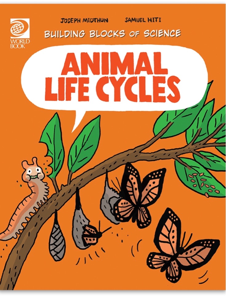 Animal Life Cycles