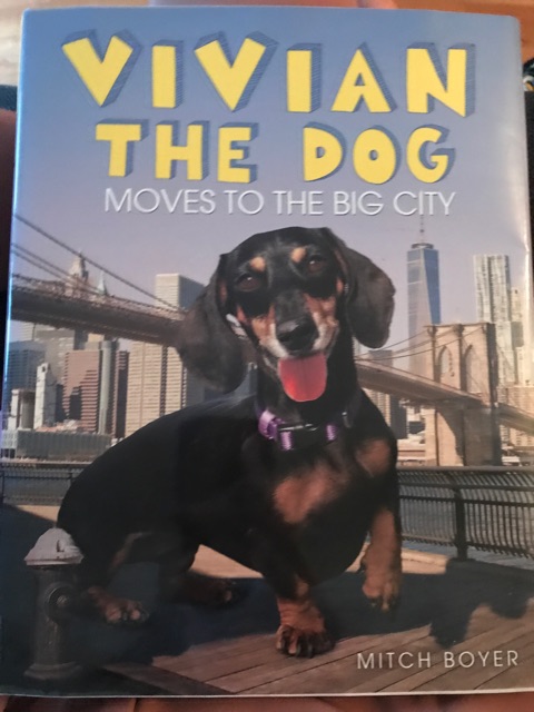 Vivian the dog moves to the big city