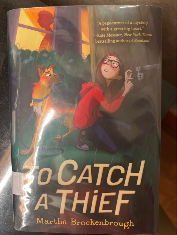 To Catch A Thief