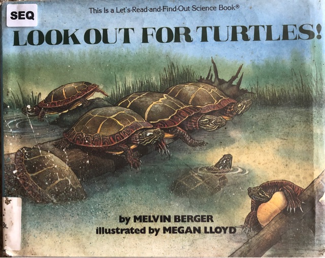 look out for turtle!