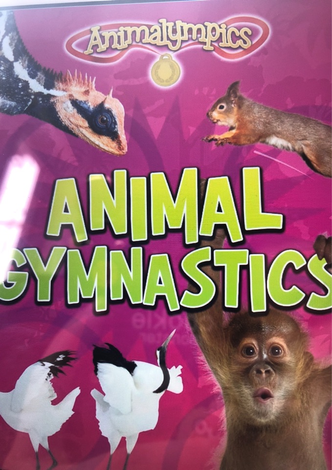 animal gymnastics