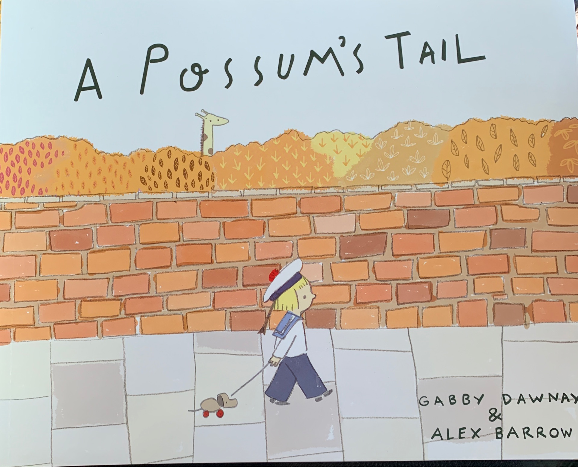 a possum s tail