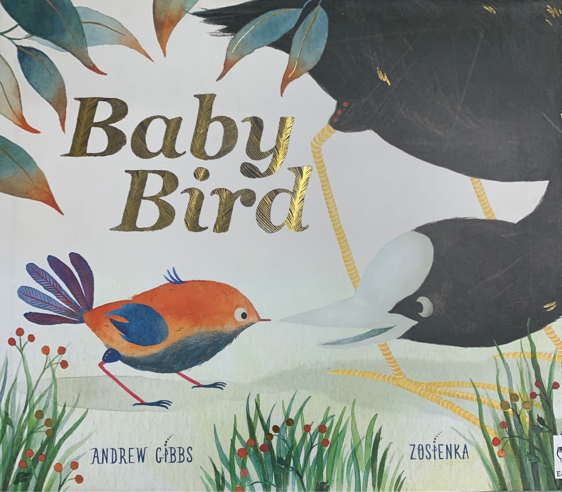 英文原版BABY BIRD