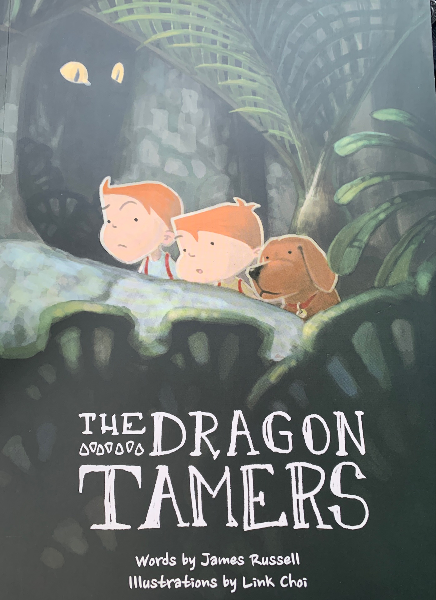 The dragon tamers