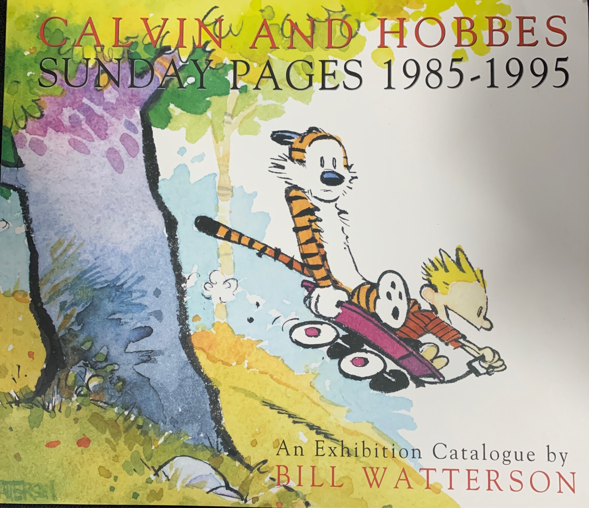 calvin and hobbes