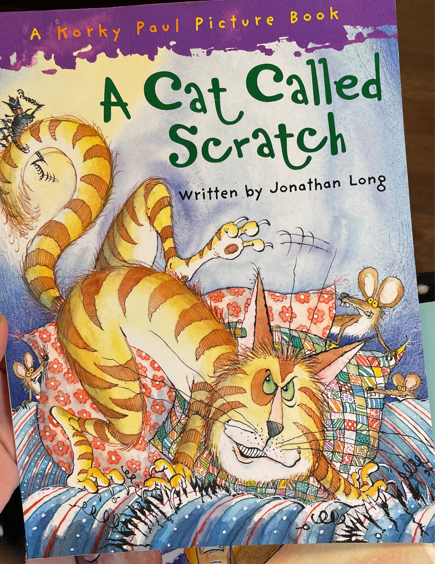 A cat called scratch