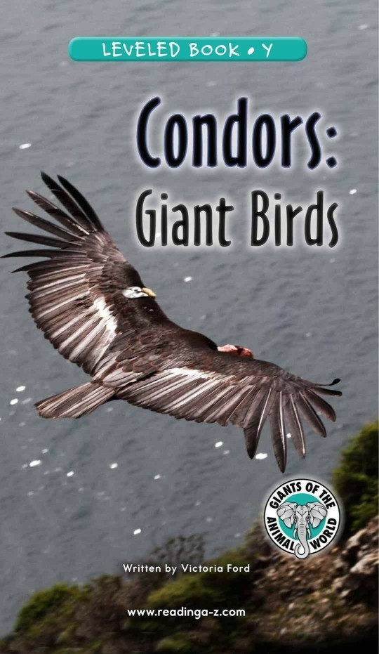 Condors: Giant Birds (RAZ Y)