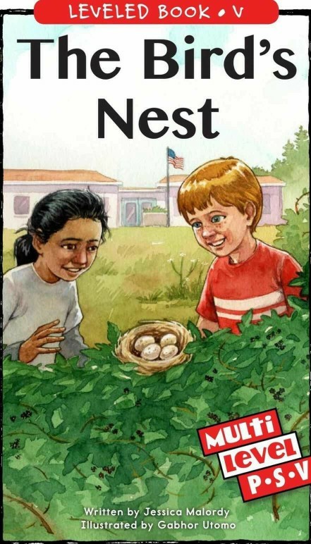 The Bird's Nest (RAZ V)