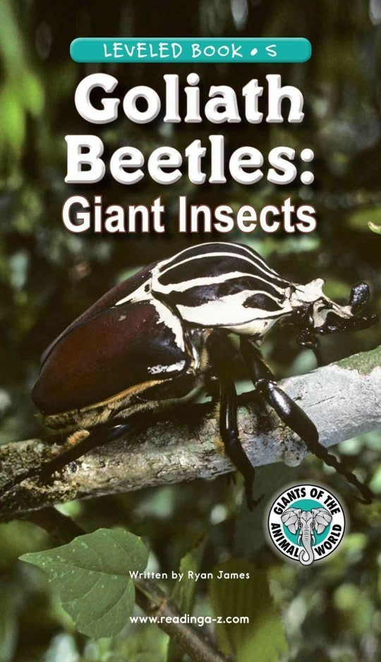 Goliath Beetles: Giant Insects (RAZ S)