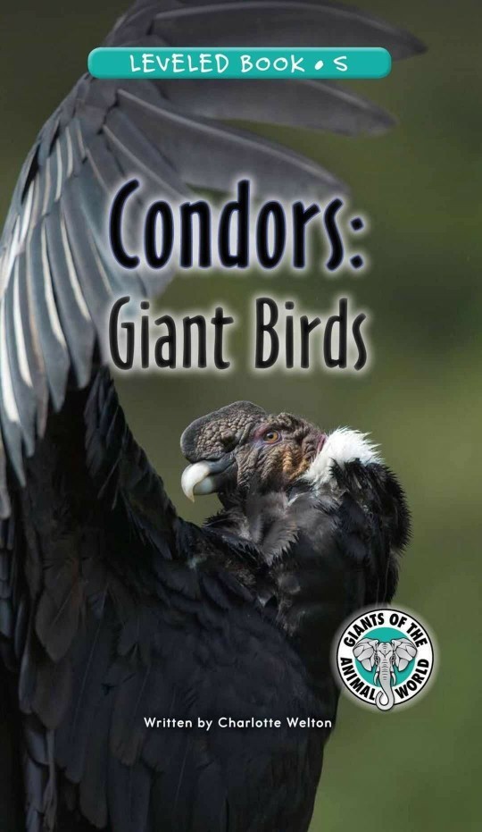 Condors: Giant Birds (RAZ S)