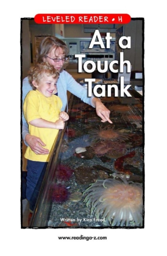 At a Touch Tank