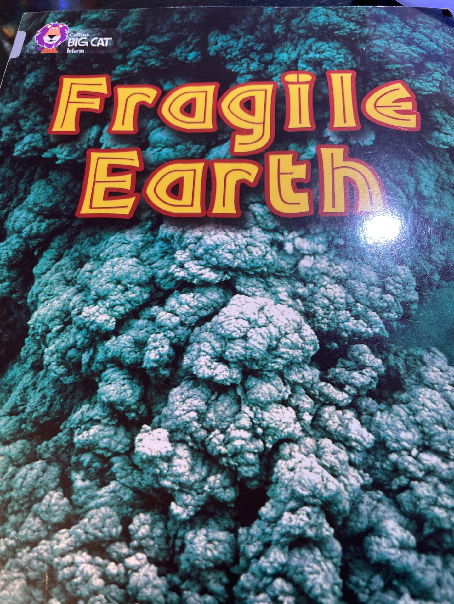 Fragile earth