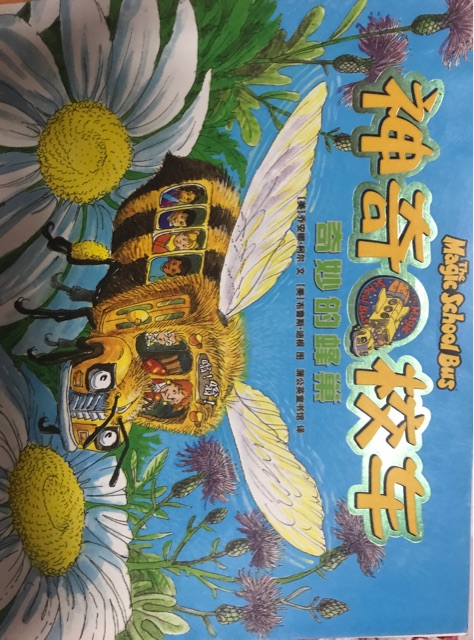 神奇校車