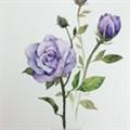 詹馥榕