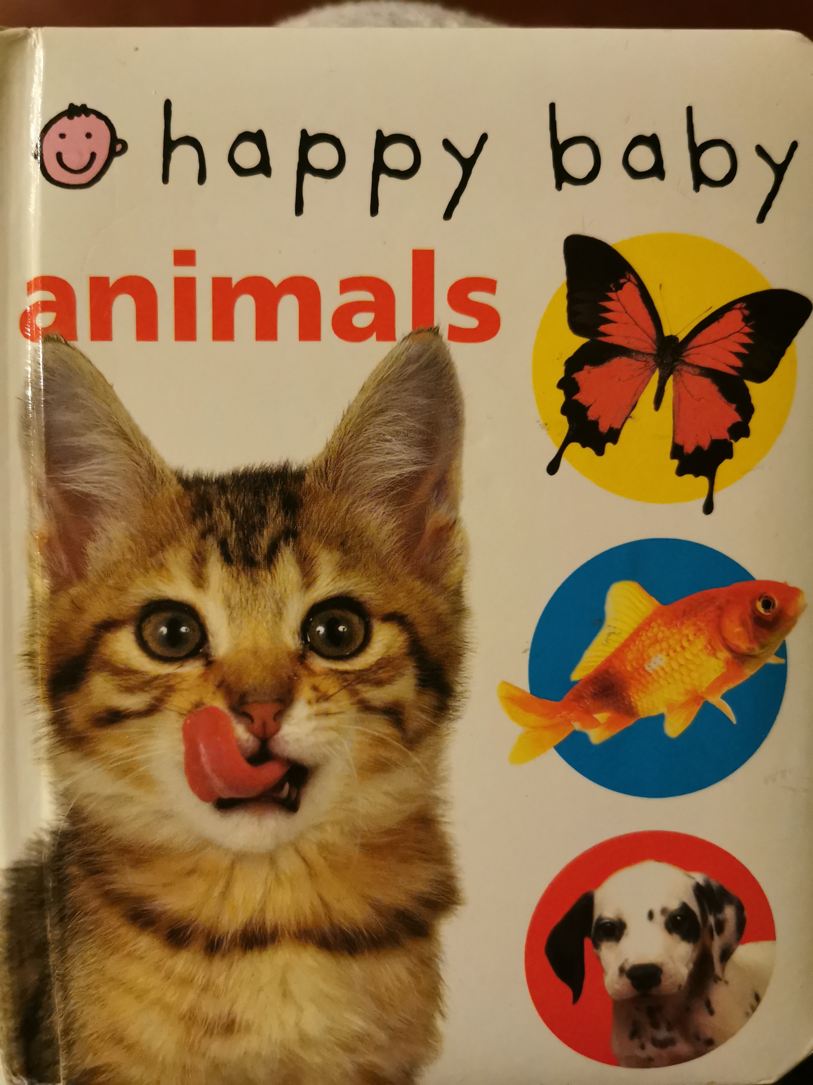 happy baby animals