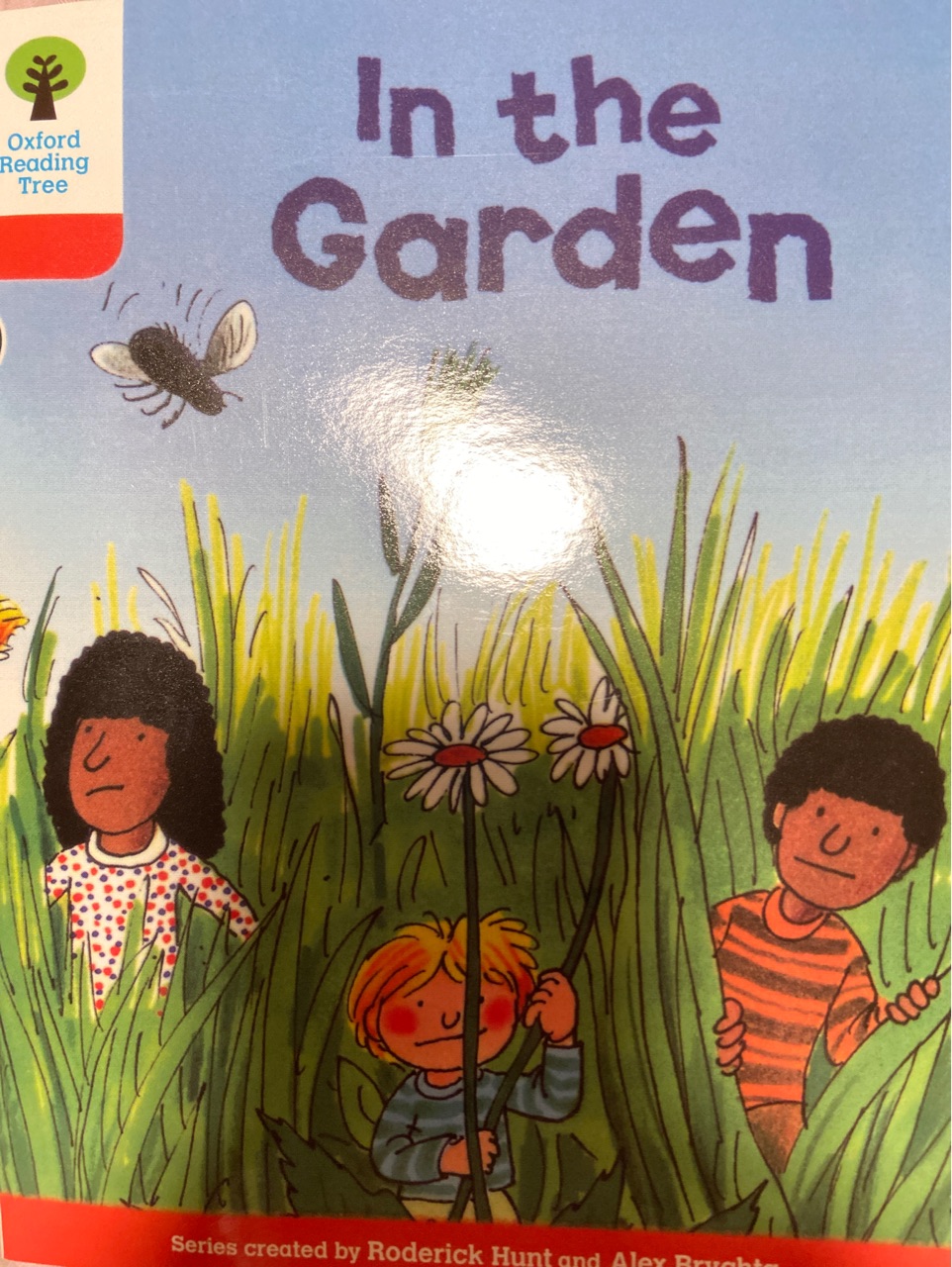 Oxford reading tree 6-1: In the garden