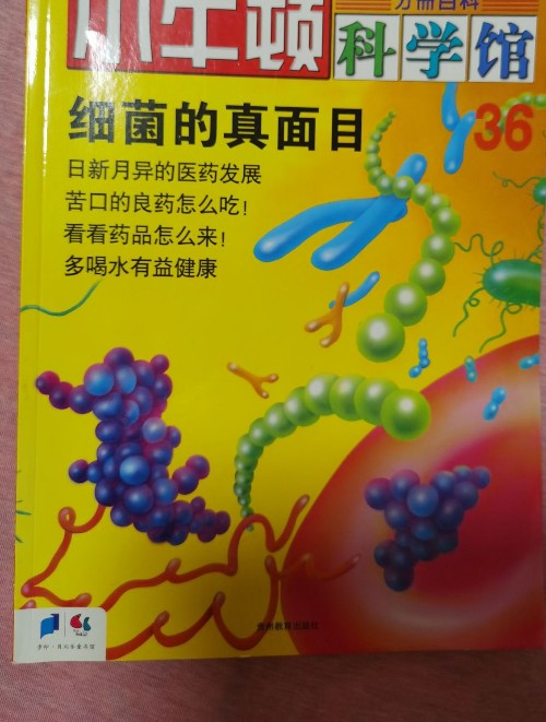 細菌的真面目～小牛頓科學館36