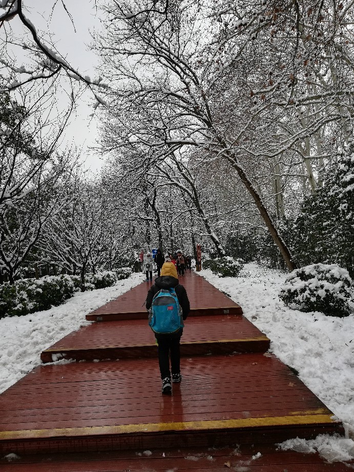 金陵好大雪，音乐