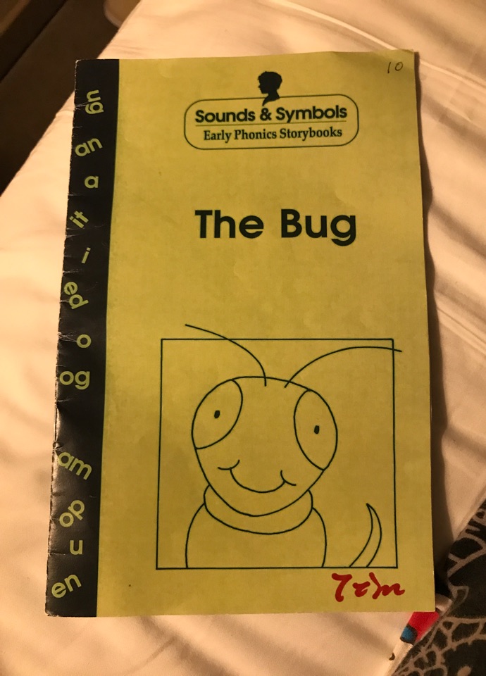 The bug