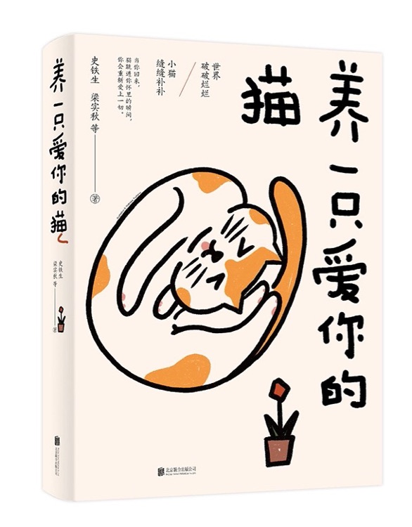 養(yǎng)一只愛你的貓