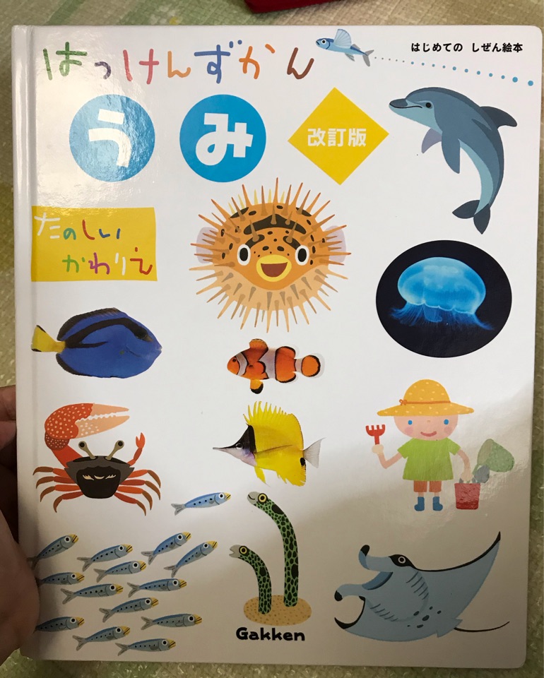はっけん図鑑 うみ