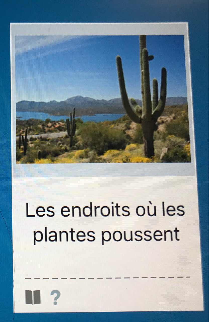 Les endroits où les plantes poussent