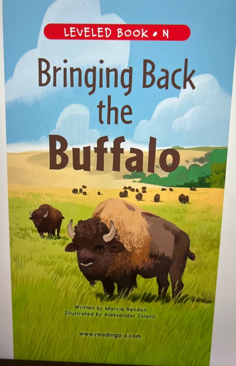 Bringing back the buffalo (RAZ N)