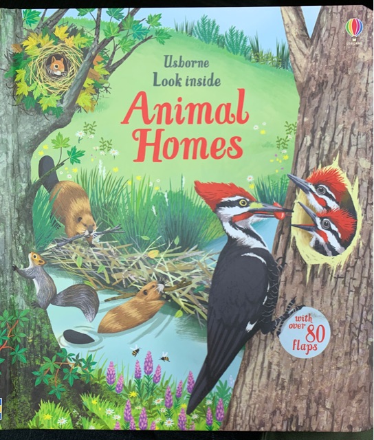 Usborne Look inside Animal Homes