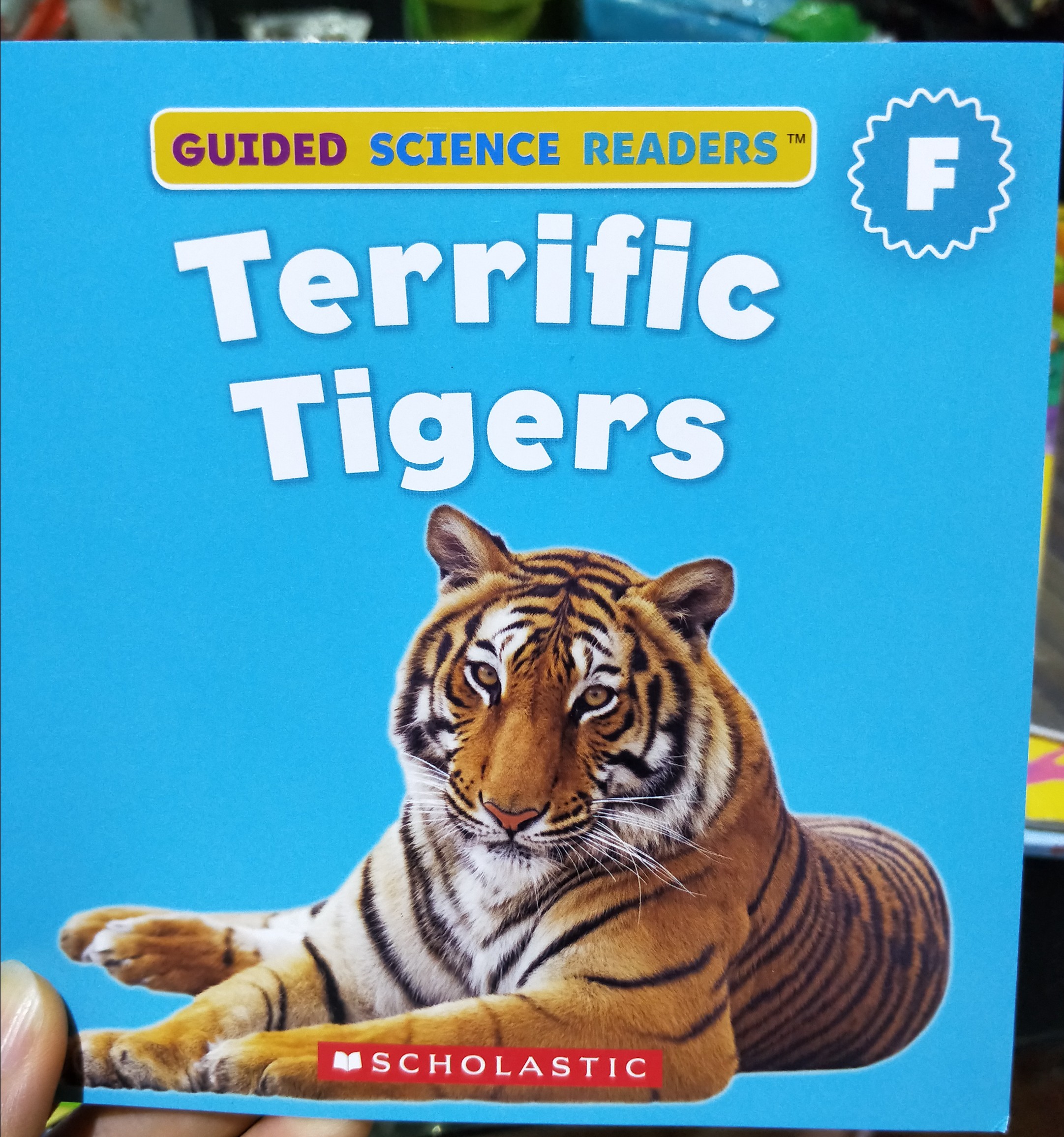 terrific tigers