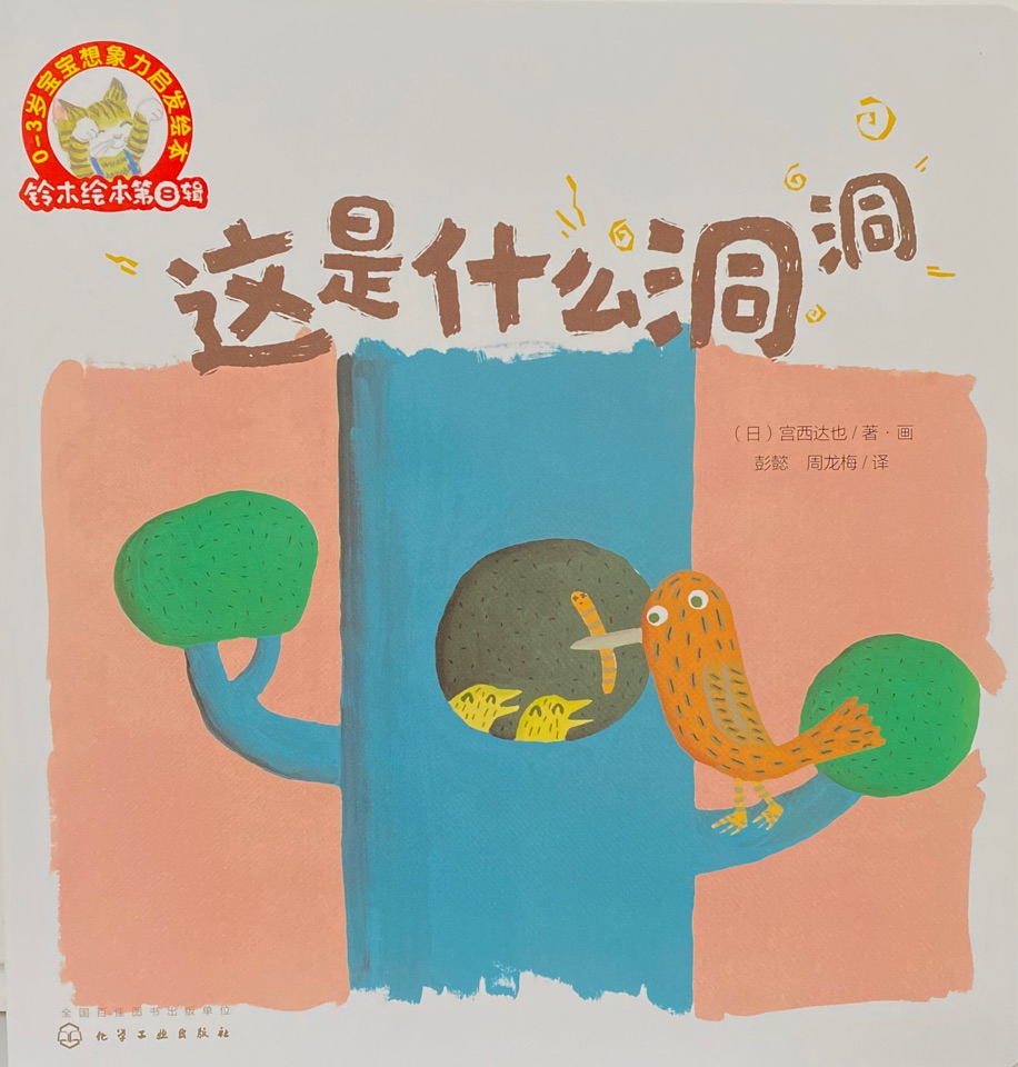 這是什么洞洞
