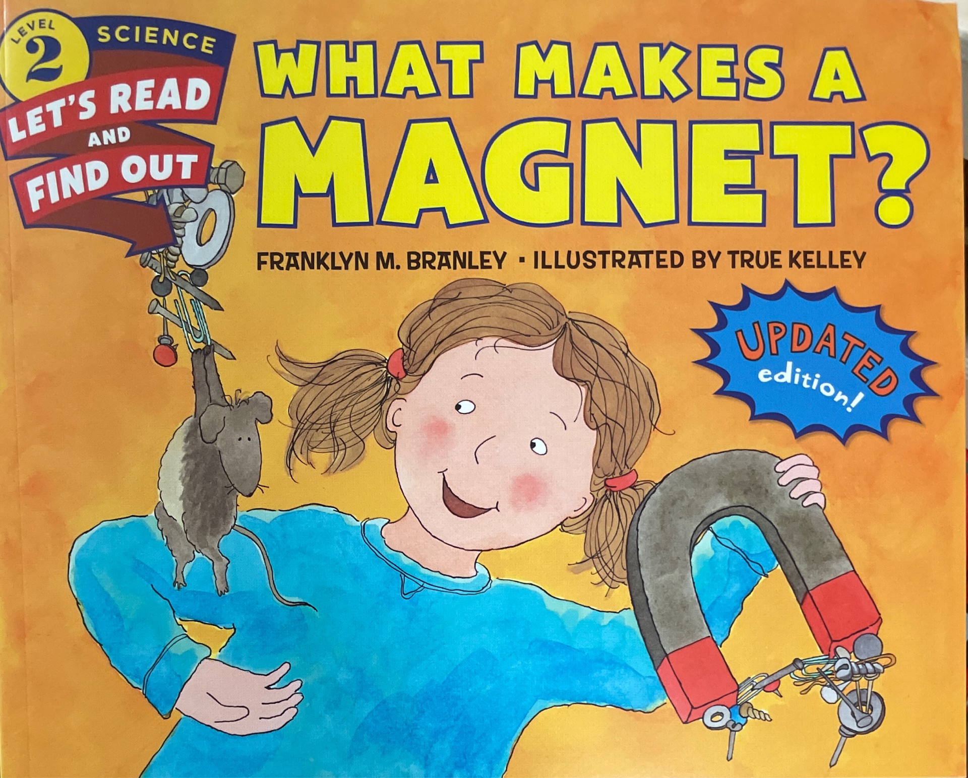 what makes a  magnet?