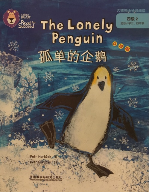 The Lonely Penguin