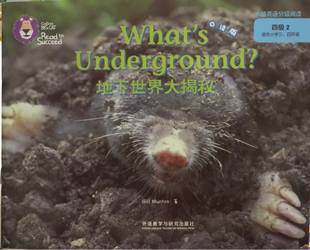 What's Underground?