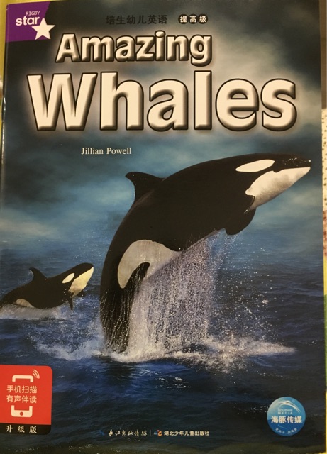 Amazing Whales