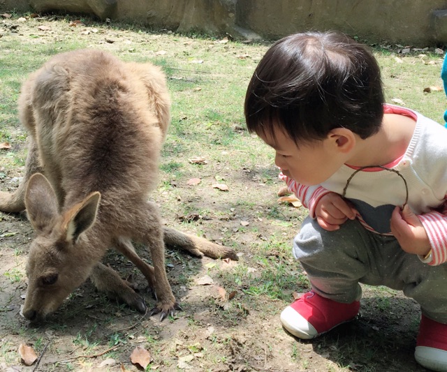 2019年4月親子閱