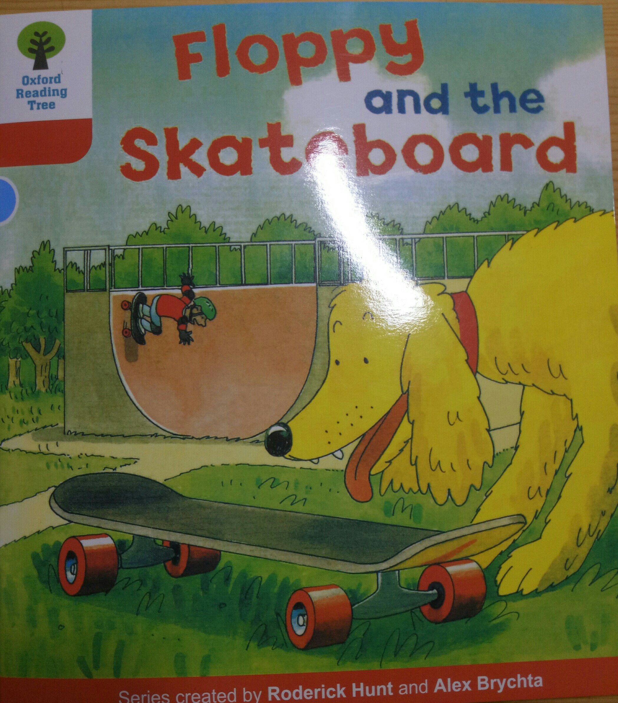 Floppy  and   the  skateboard