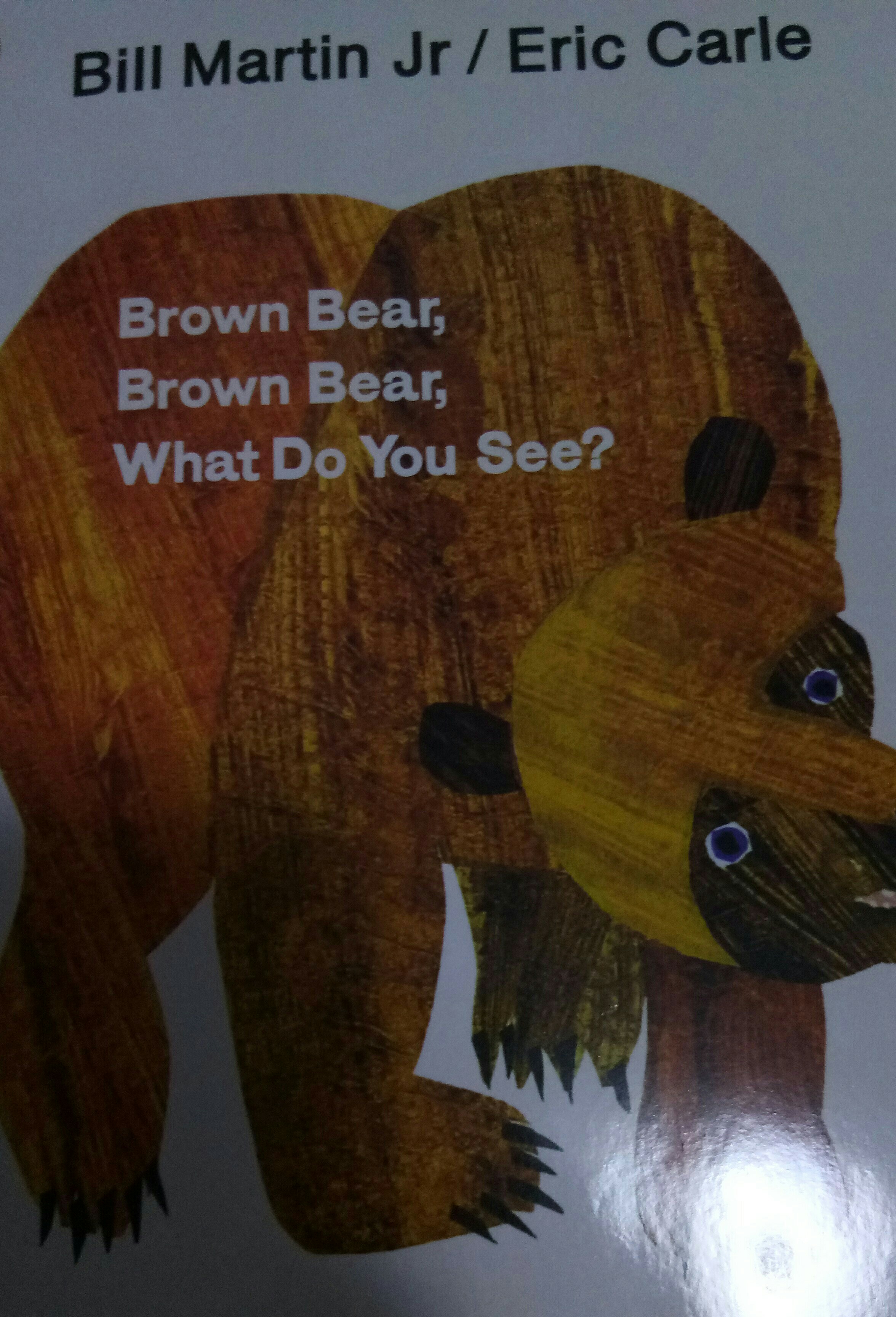 Brown Bear