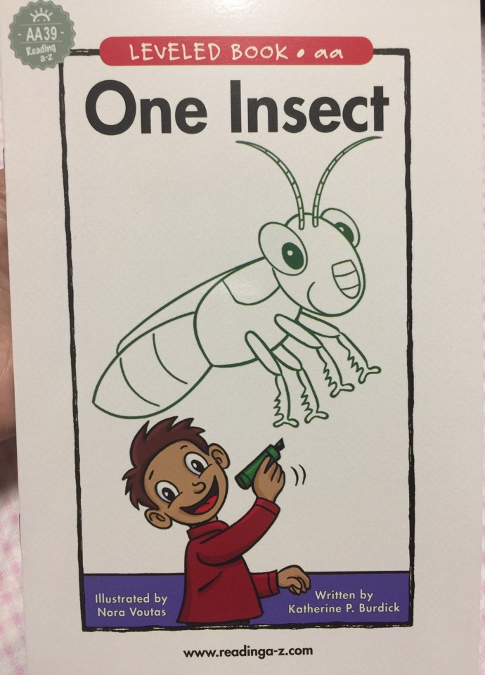 one insect