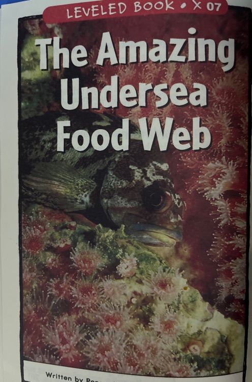 The amazing undersea good-web (Raz X)