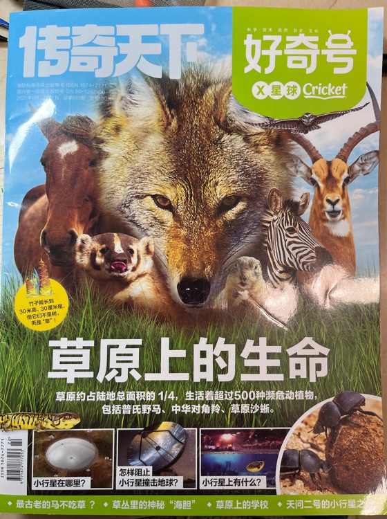 好奇號(hào)X星球2025年8月刊