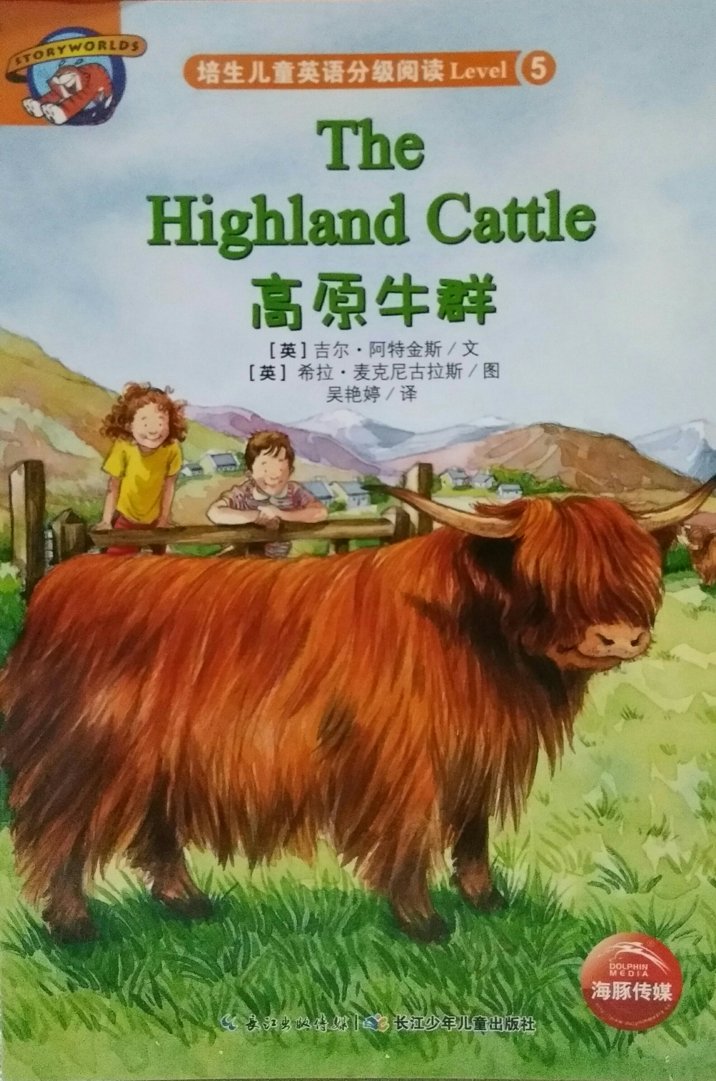 The Highland Cattle 高原牛群