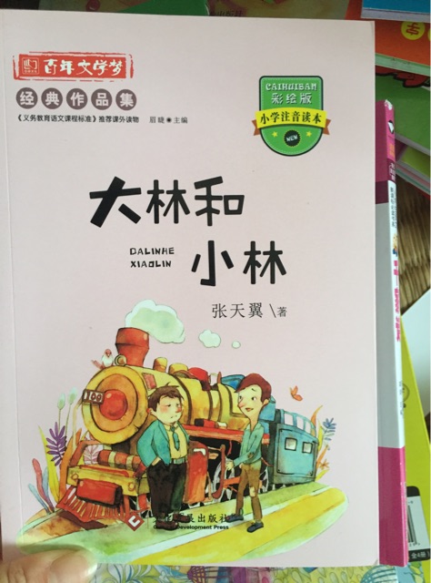 大林和小林