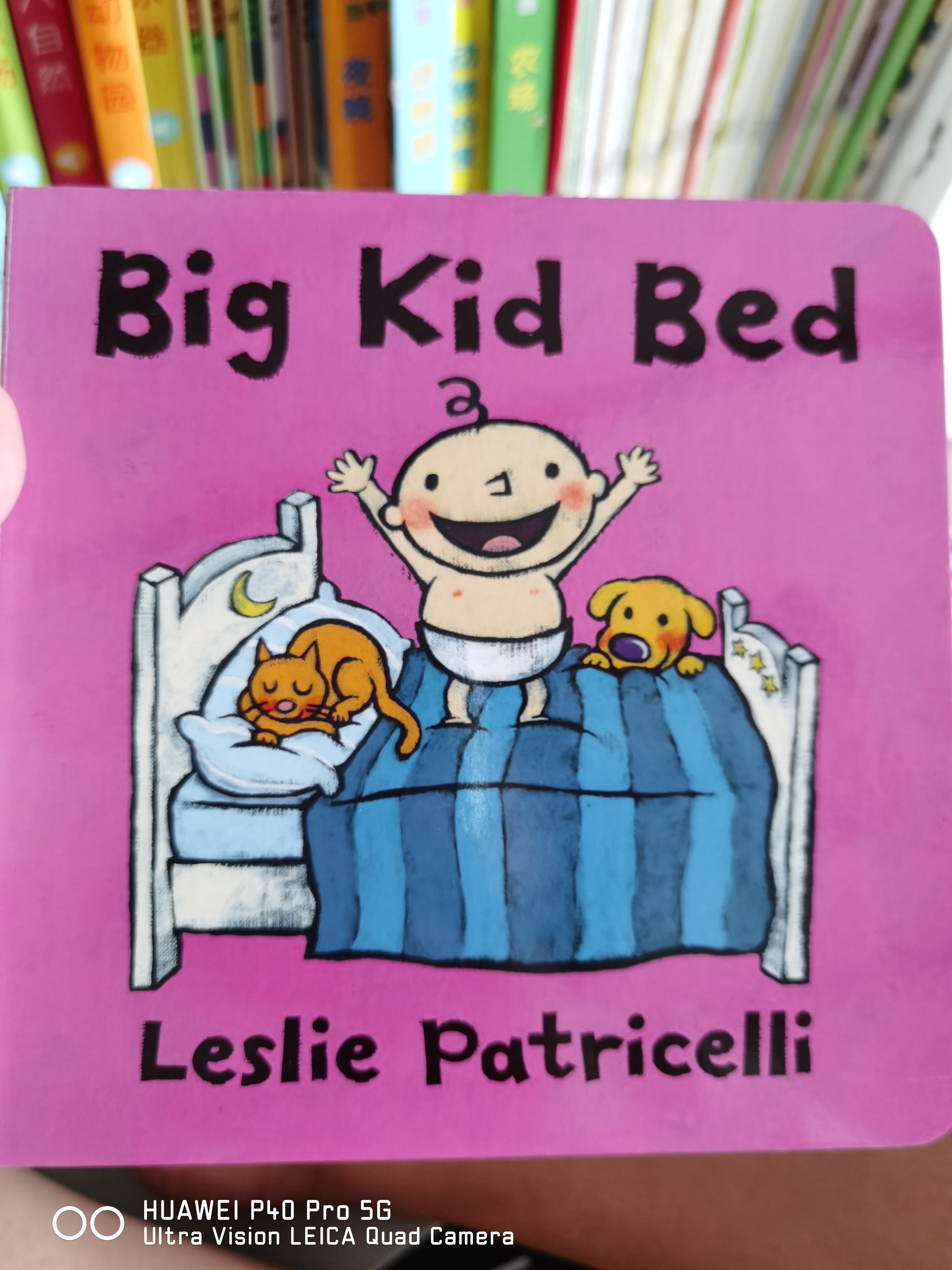 Big Kid Bed