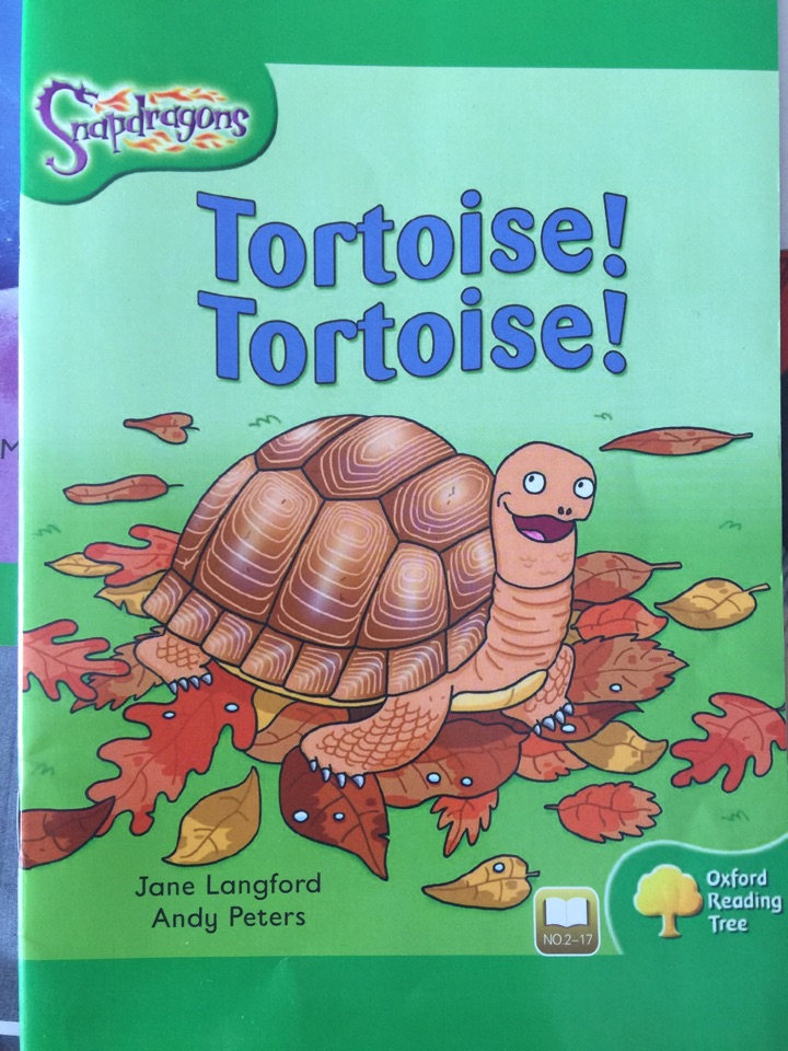 Tortoise, tortoise