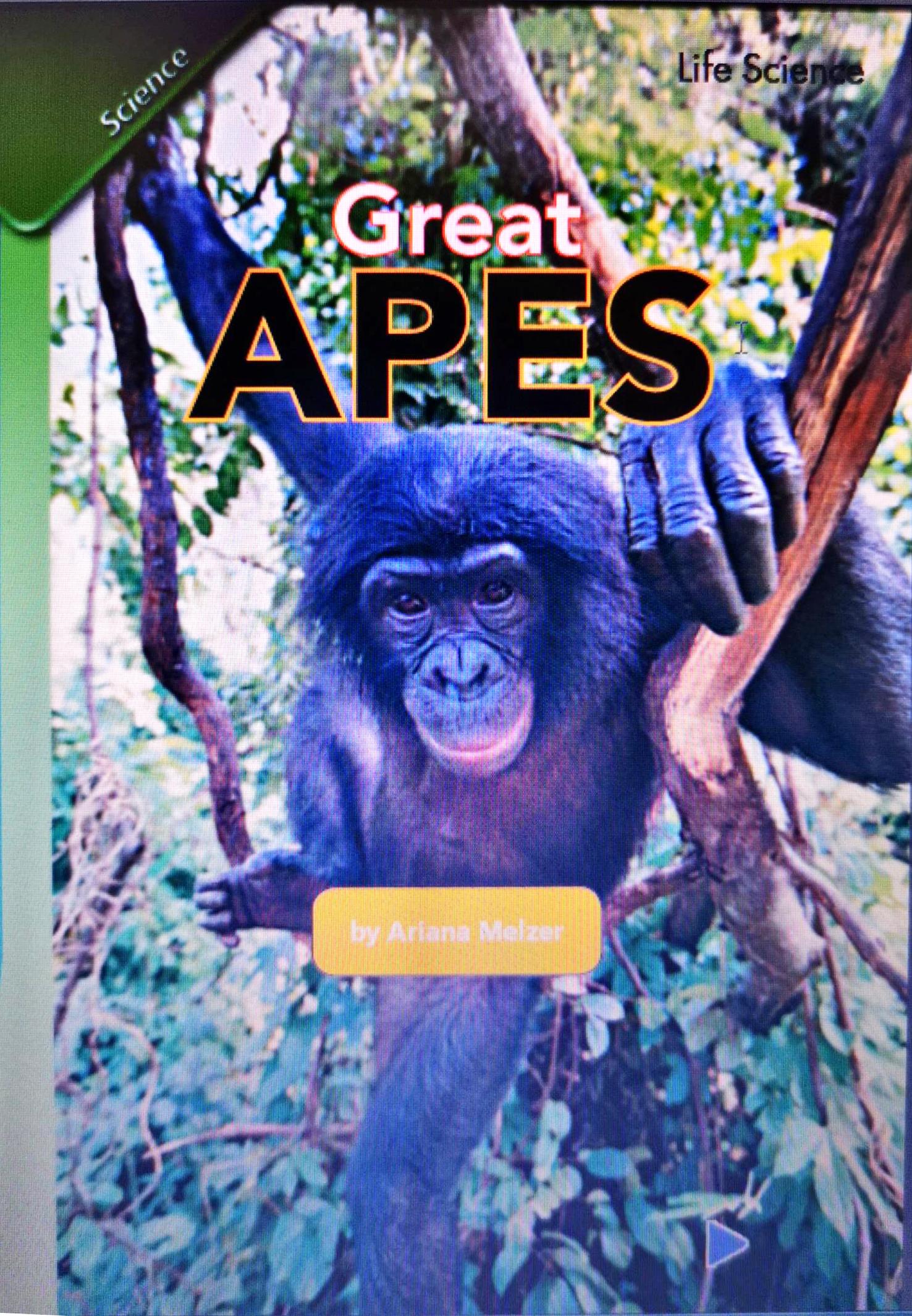 Great APES